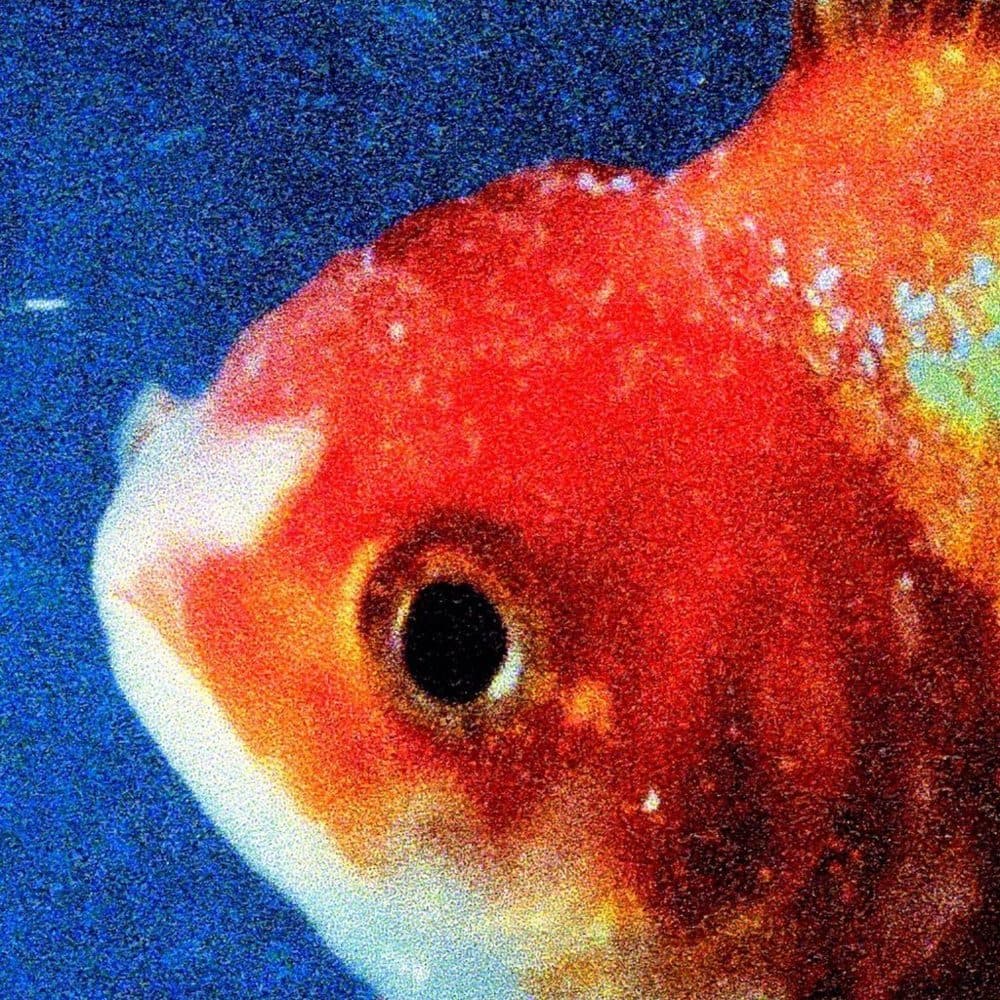 Favorite Songs: Big Fish, 745, Yeah Right, BagBak