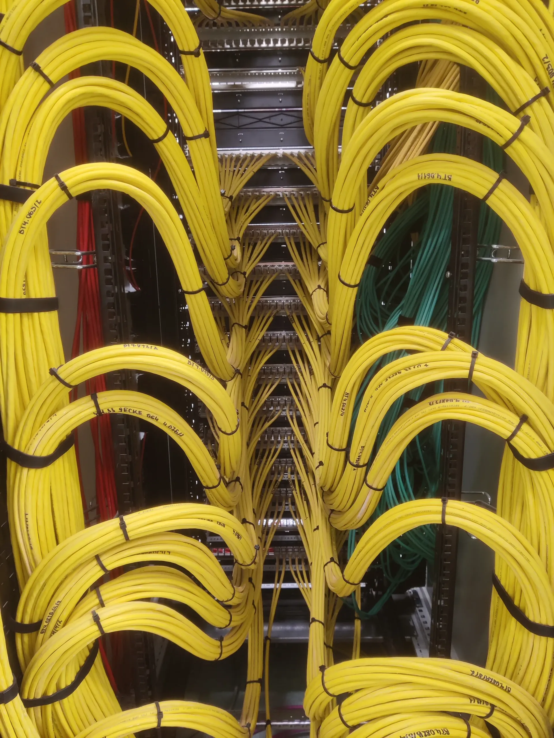 Yellow Network Cables Patchpanel rear